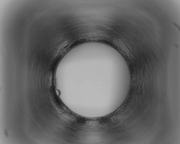 X0000097510694200802220905
