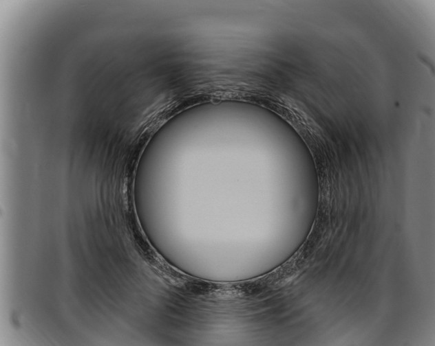 X0000097510696200802220905