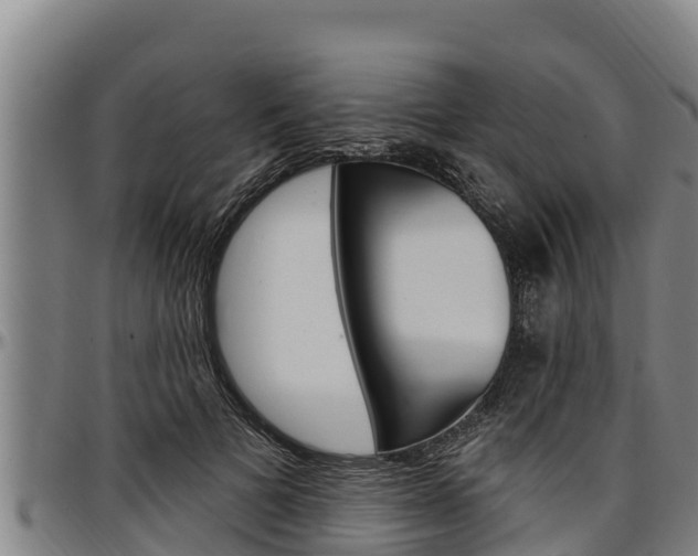 X0000097510697200802220905