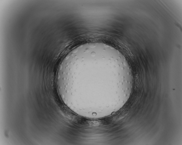 X0000097510698200802220905