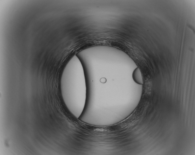 X0000097510699200802220905