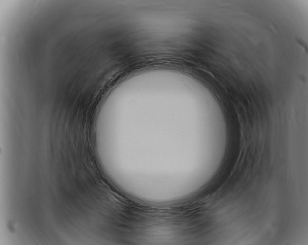 X0000097510701200802220905