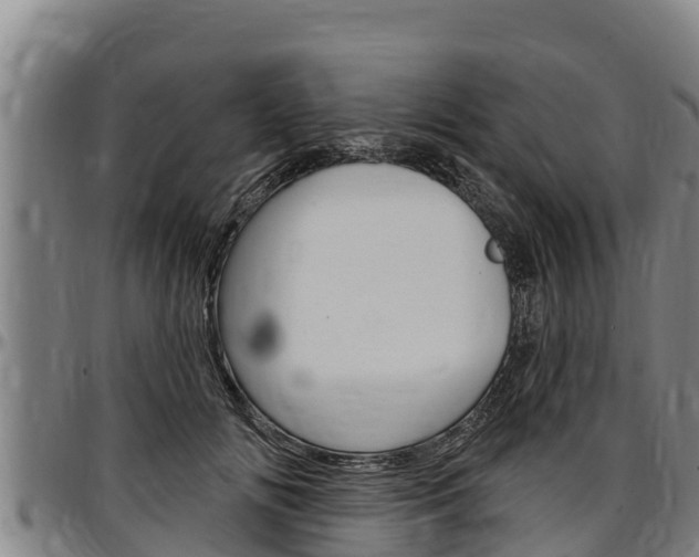 X0000097510702200802220905
