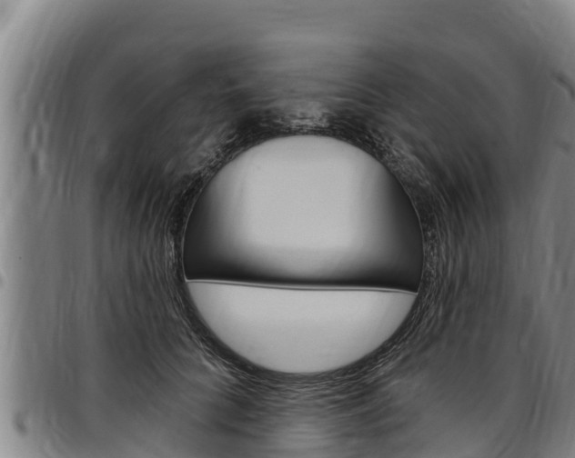 X0000097510704200802220905
