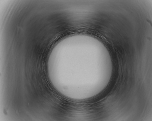 X0000097510705200802220905