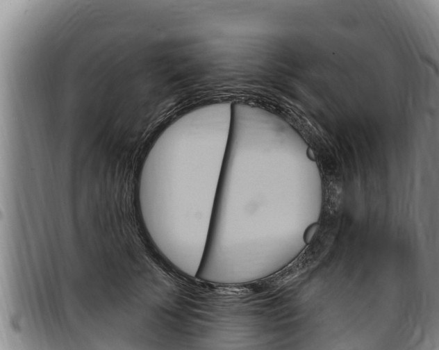 X0000097510707200802220905