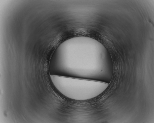 X0000097510708200802220905