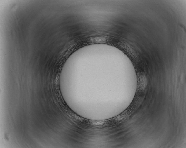 X0000097510709200802220905