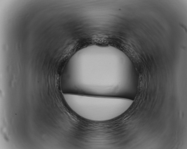 X0000097510712200802220905