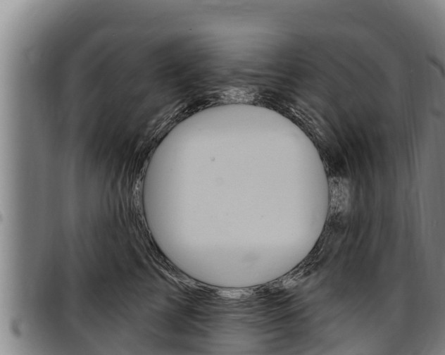 X0000097510713200802220905