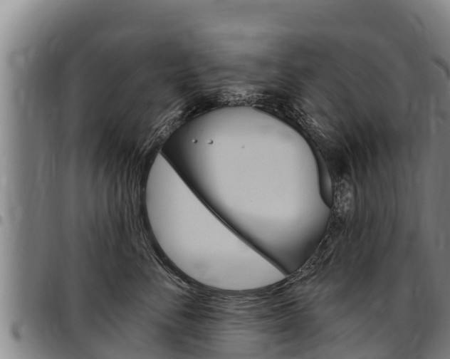 X0000097510716200802220905