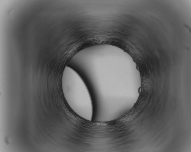 X0000097510719200802220905