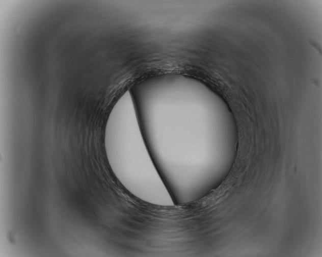 X0000097510720200802220905