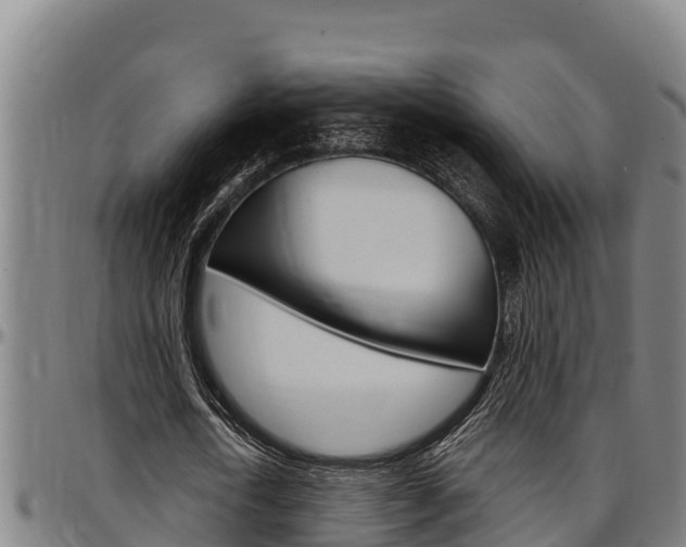 X0000097510722200802220904