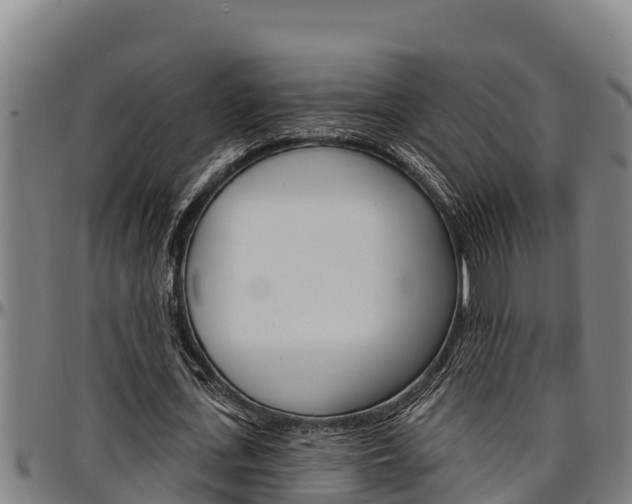 X0000097510723200802220904