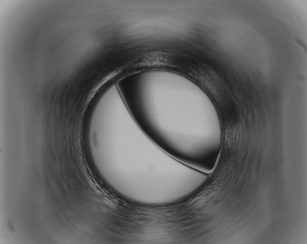 X0000097510724200802220904