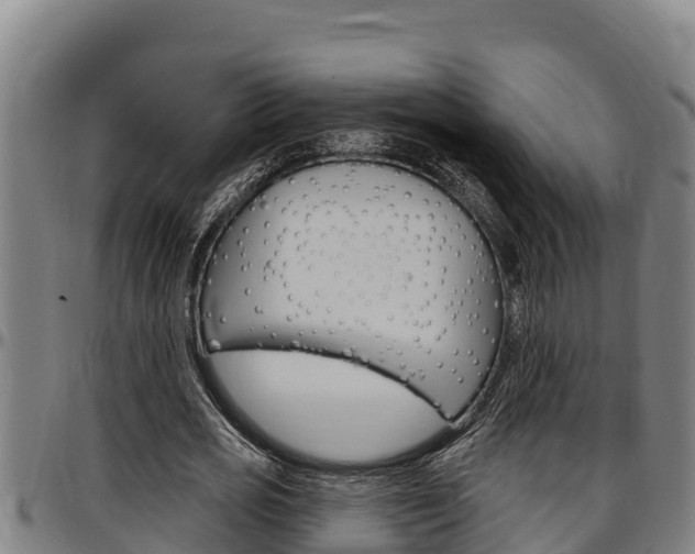 X0000097510725200802220904