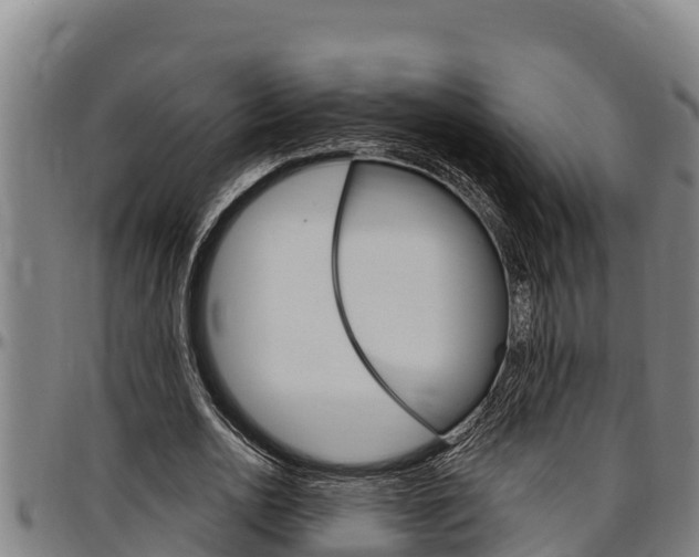 X0000097510726200802220904