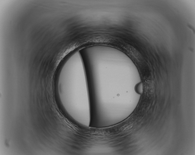 X0000097510727200802220904