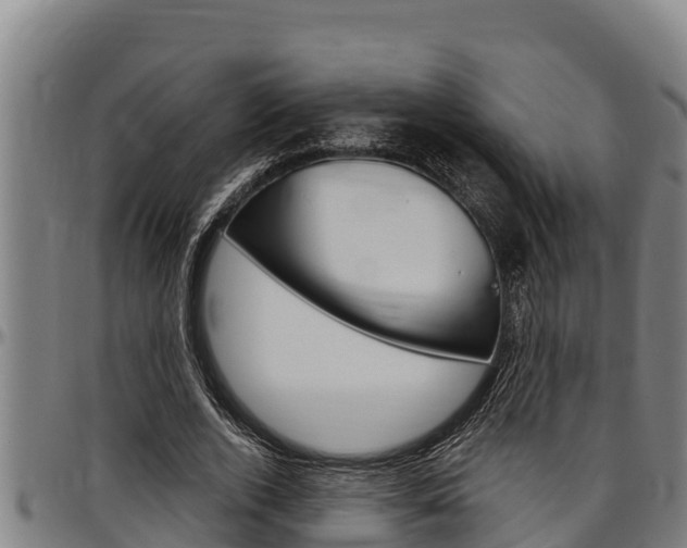 X0000097510728200802220904