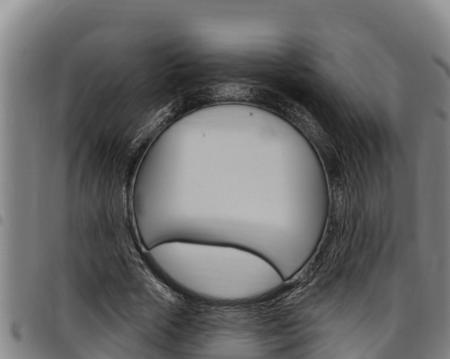X0000097510729200802220904