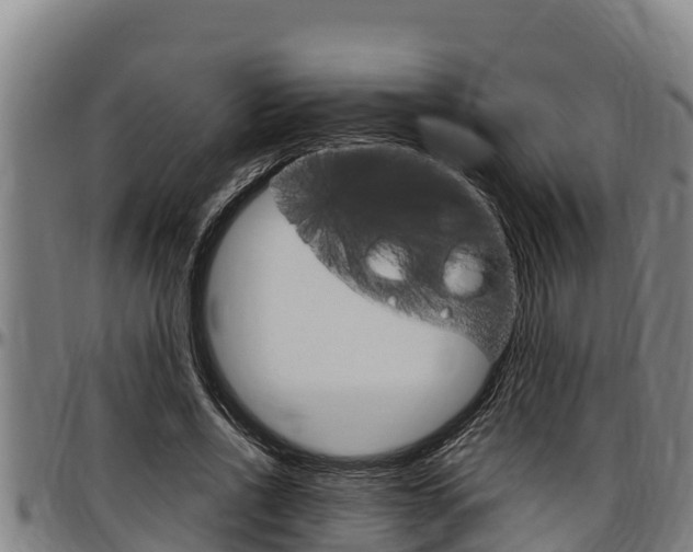 X0000097510734200802220904