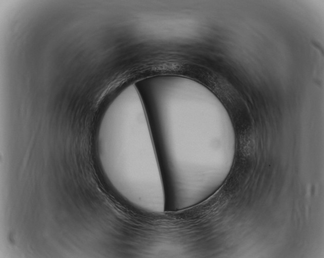 X0000097510735200802220904