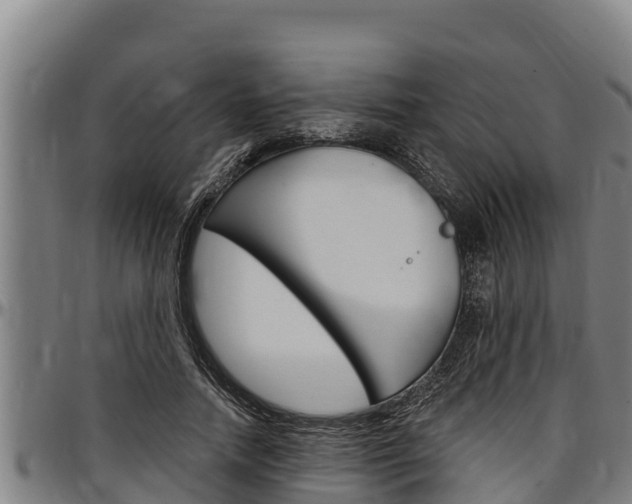 X0000097510738200802220904
