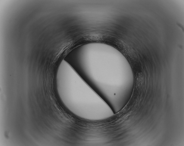 X0000097510739200802220904