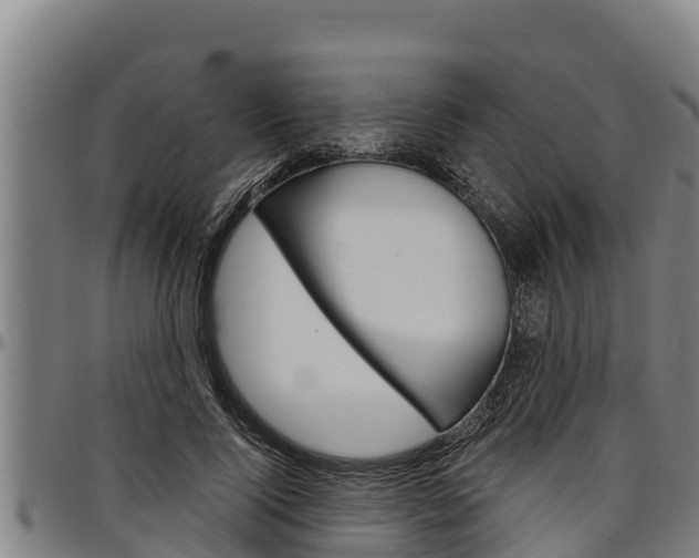 X0000097510740200802220904
