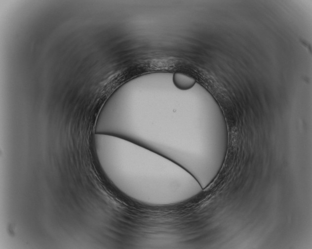 X0000097510741200802220904
