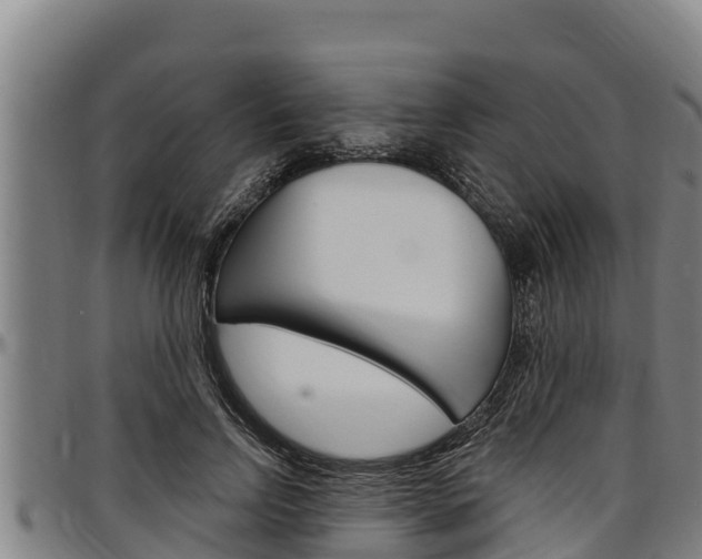 X0000097510742200802220904