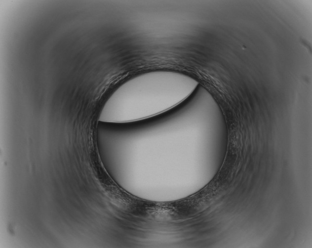 X0000097510743200802220904