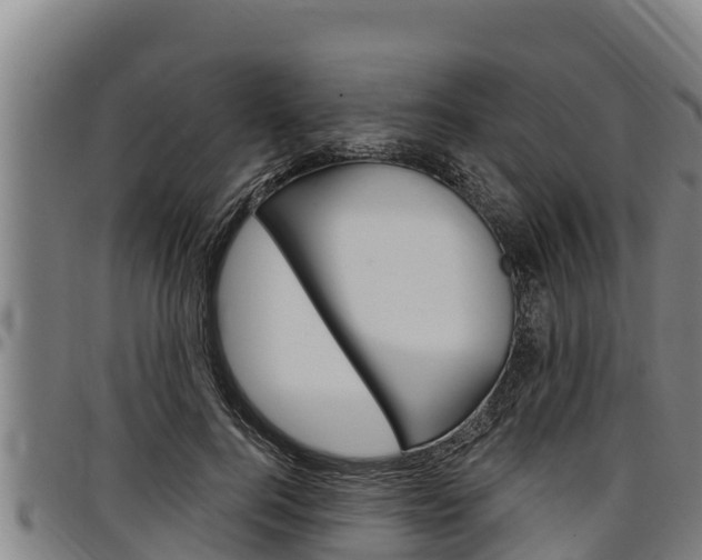 X0000097510744200802220904
