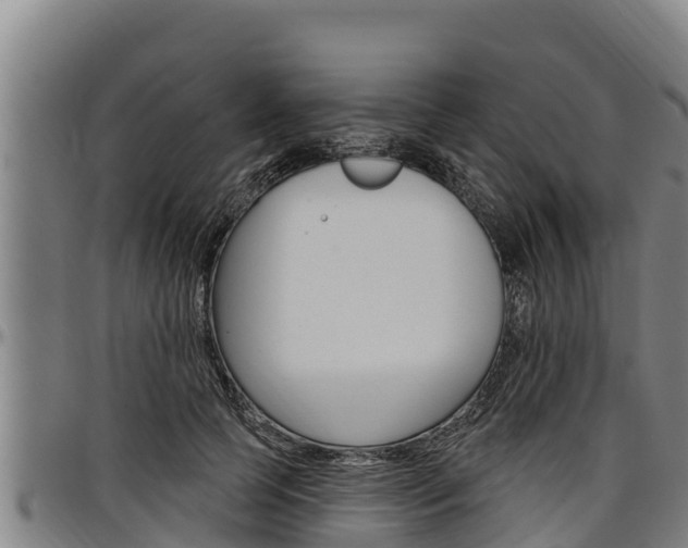 X0000097510745200802220904