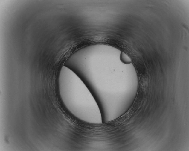 X0000097510746200802220904