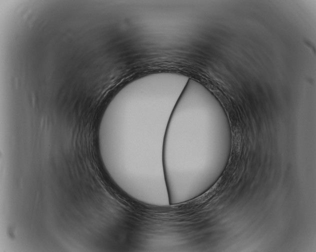 X0000097510747200802220904