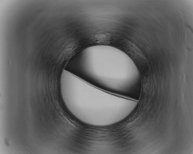 X0000097510748200802220904