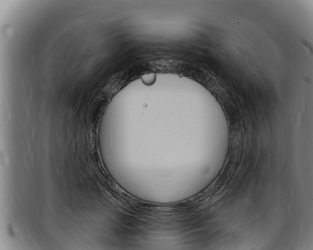 X0000097510749200802220904