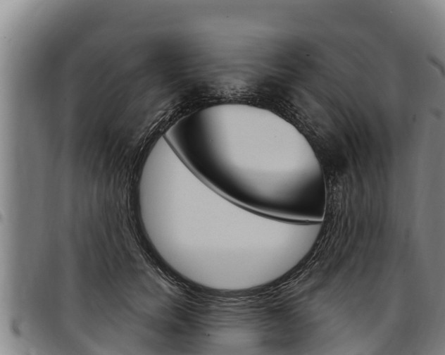 X0000097510750200802220905