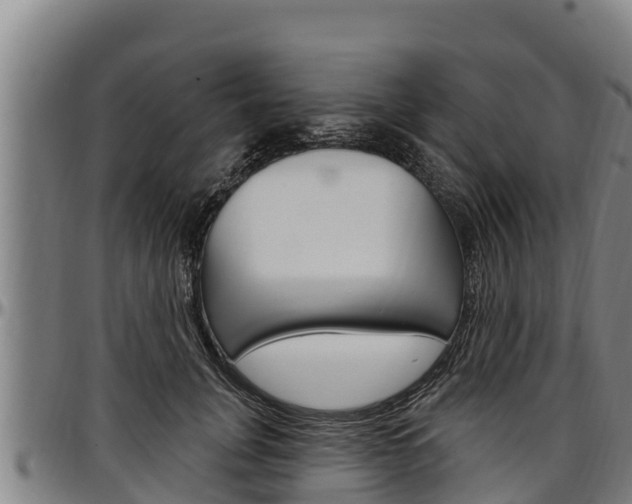 X0000097510751200802220905