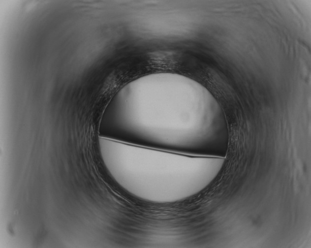 X0000097510752200802220905