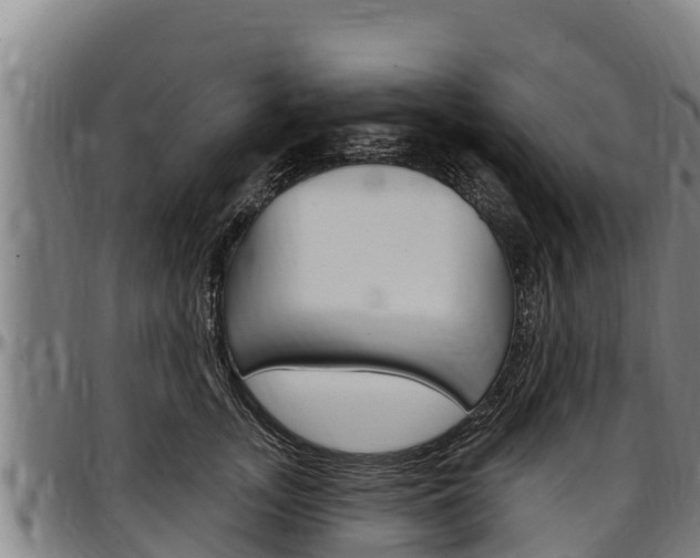 X0000097510755200802220905