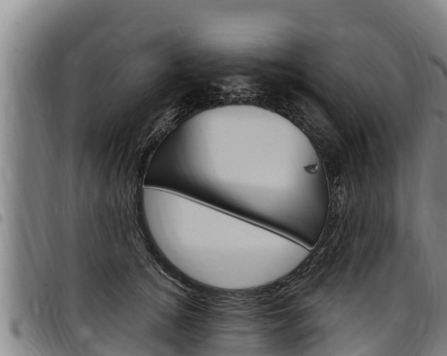 X0000097510756200802220905