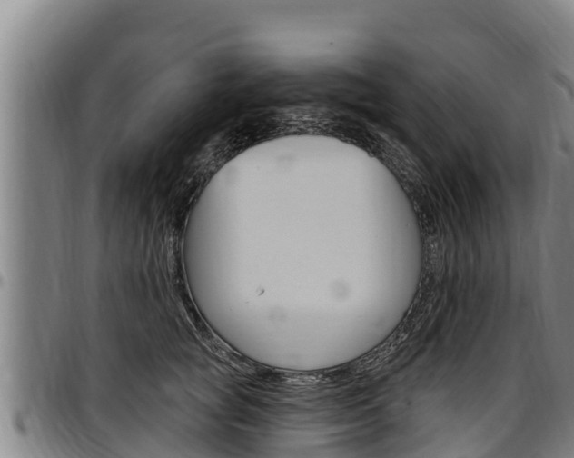 X0000097510757200802220905