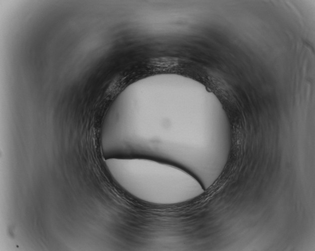 X0000097510758200802220905