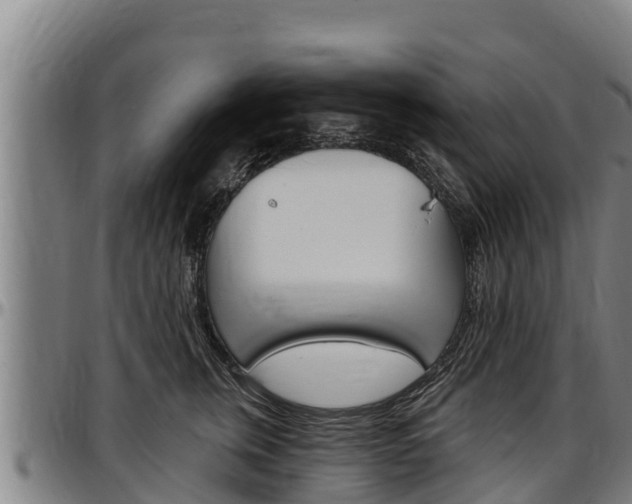 X0000097510759200802220905