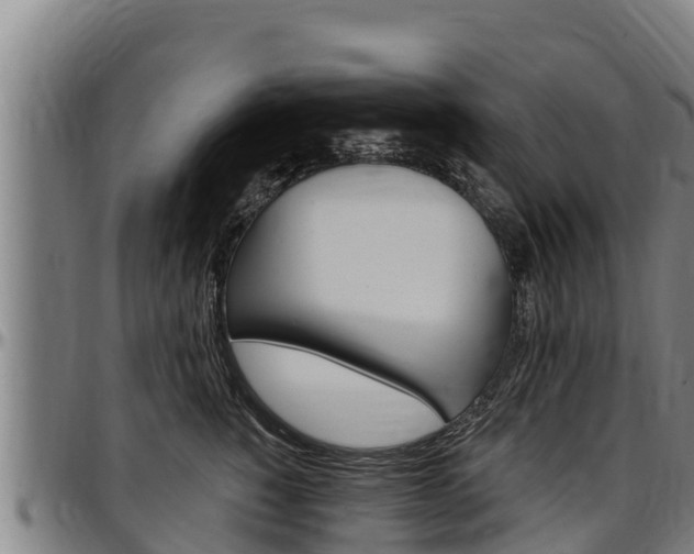X0000097510760200802220905