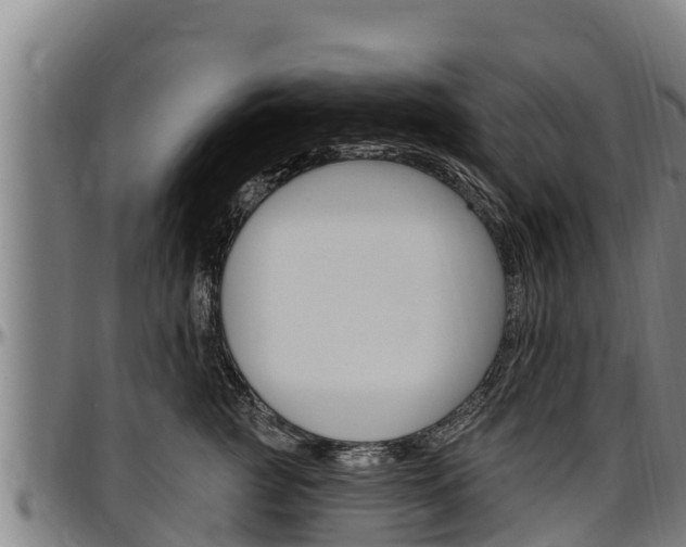 X0000097510761200802220905