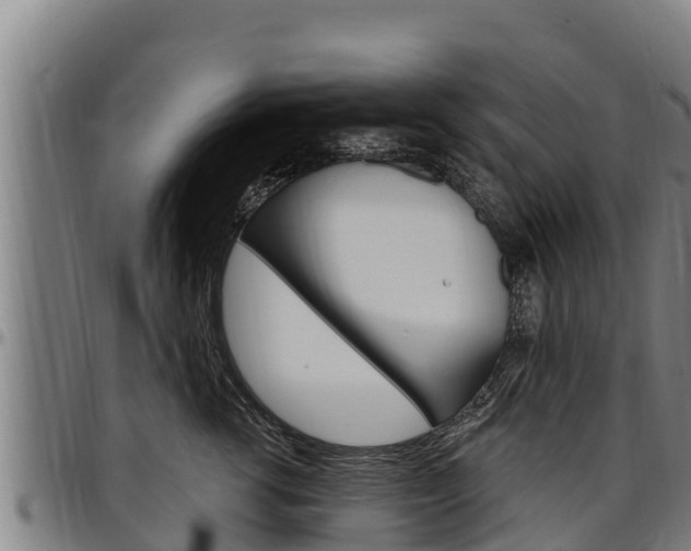 X0000097510762200802220905